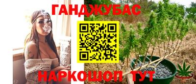 гидра Краснодар