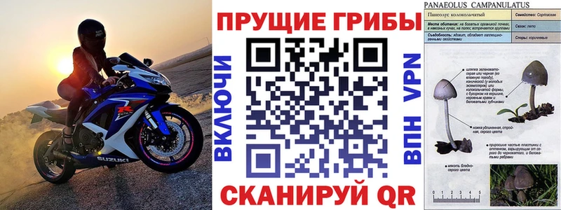 Псилоцибиновые грибы мухоморы  mega зеркало  Можга  наркота 